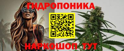 прущие крисы Новодвинск