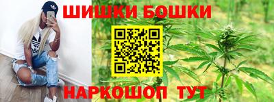 прущий лед Новозыбков