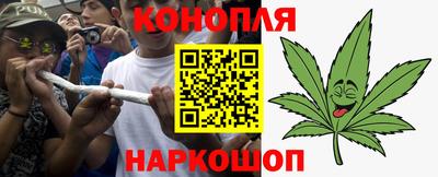 прущий лед Новозыбков