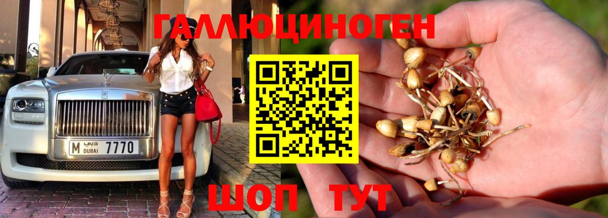 Уссурийск  Псилоцибиновые грибы мухоморы  купить наркотик  Вход с VPN 